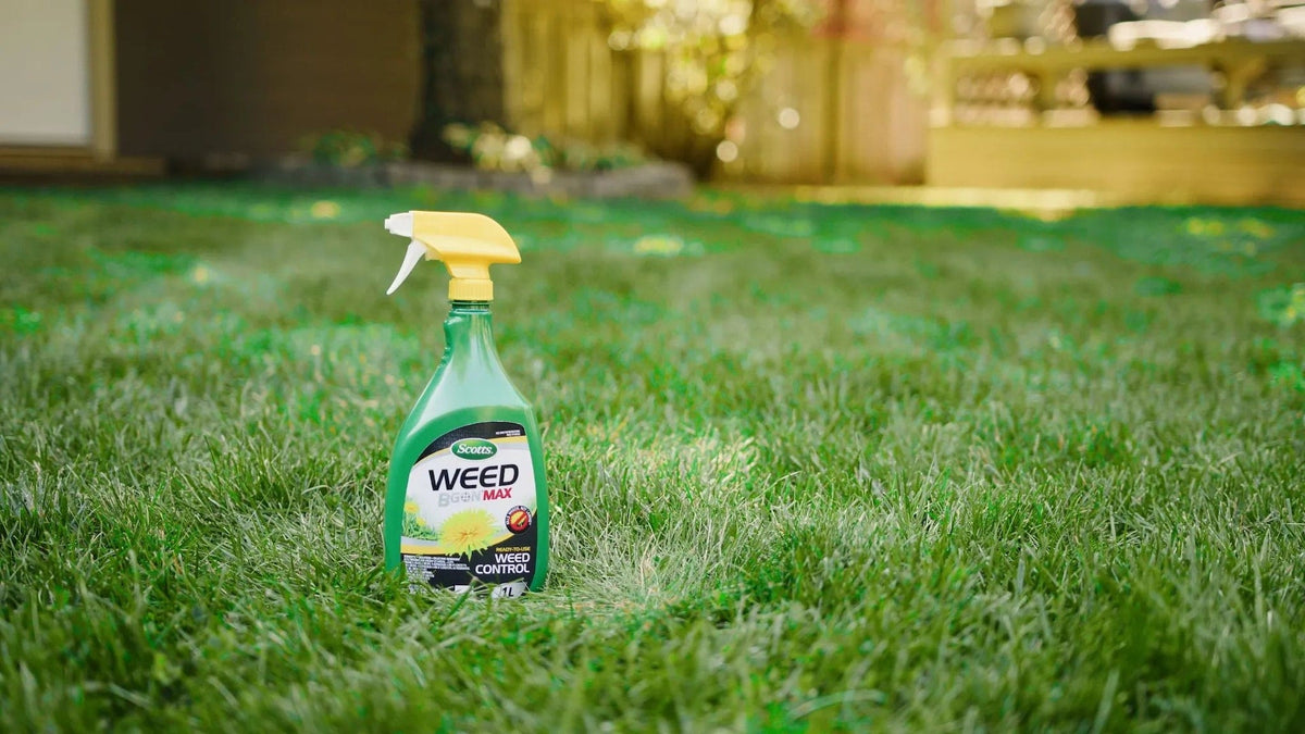 Scotts Weed B Gon MAX Weed Control Concentrate for Lawns, 1-L