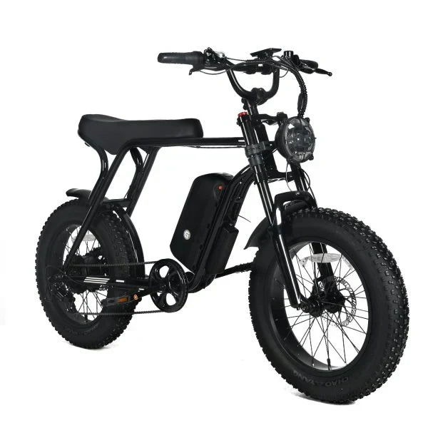 Electric Mountain Bike for Adults | 20 x 4.0 Fat Tires, 1000W Motor, 48V 20Ah Removable Battery, Max Speed 45MPH, Shi Mano 7-Speed for Off-Road Adventures O5