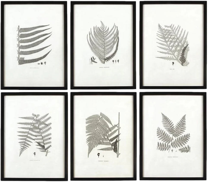 MY SWANKY HOME Modern Set of 6 Black White Fern Prints Botanical Framed Monochrome 29 in V1