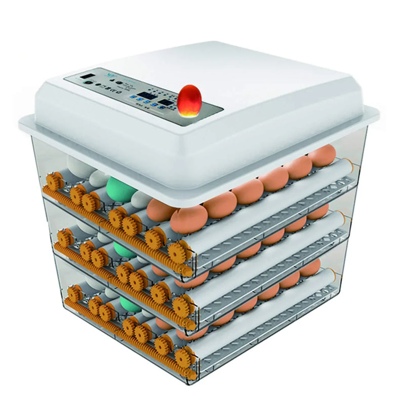 Egg Incubator - Egg Incubator with Automatic Egg Turning and Humidity Control,Large Poultry Hatcher for Chickens Birds Ducks (176 Eggs) H0