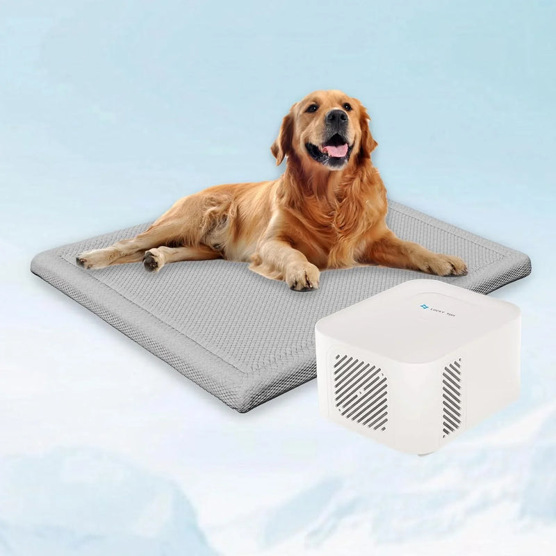 Pet Bed Cooling System, Consistent Warm and Cold Water Pad, No Electric Shock or Chemical Gel Needed, Machine Washable Bed, Ideal for Home and Crates (Cooling & Heating Green, 41" x 28") Z4