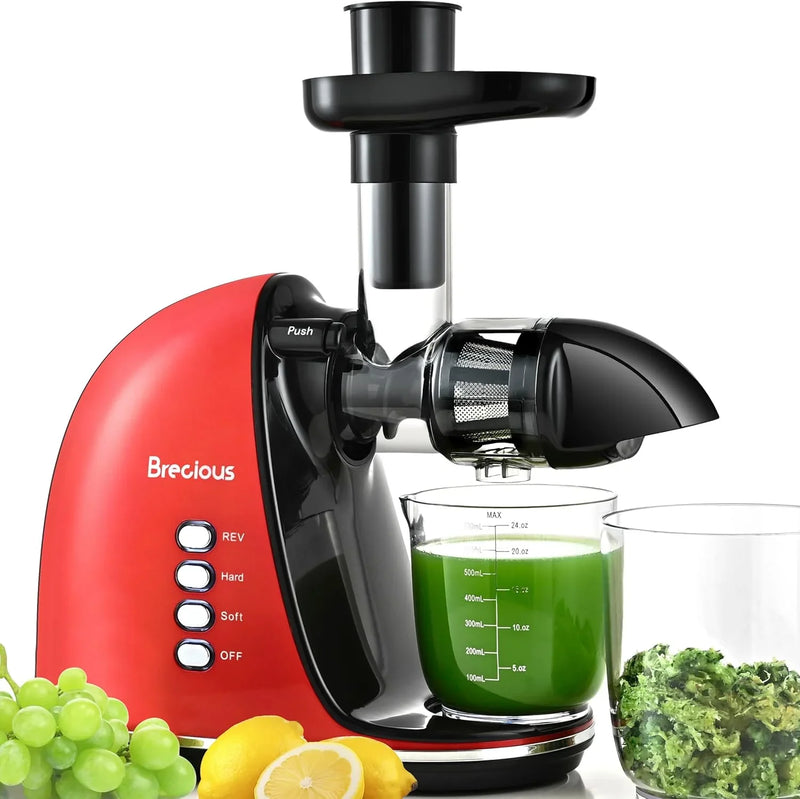 Slow Masticating Juicer,Brecious Cold Press Juicers with 2 Speed Modes & Quiet Motor,Juicers Machines Vegetable and Fruit with Reverse Function,Celery Juicer,BPA-Free,Easy to Clean (Black) U3