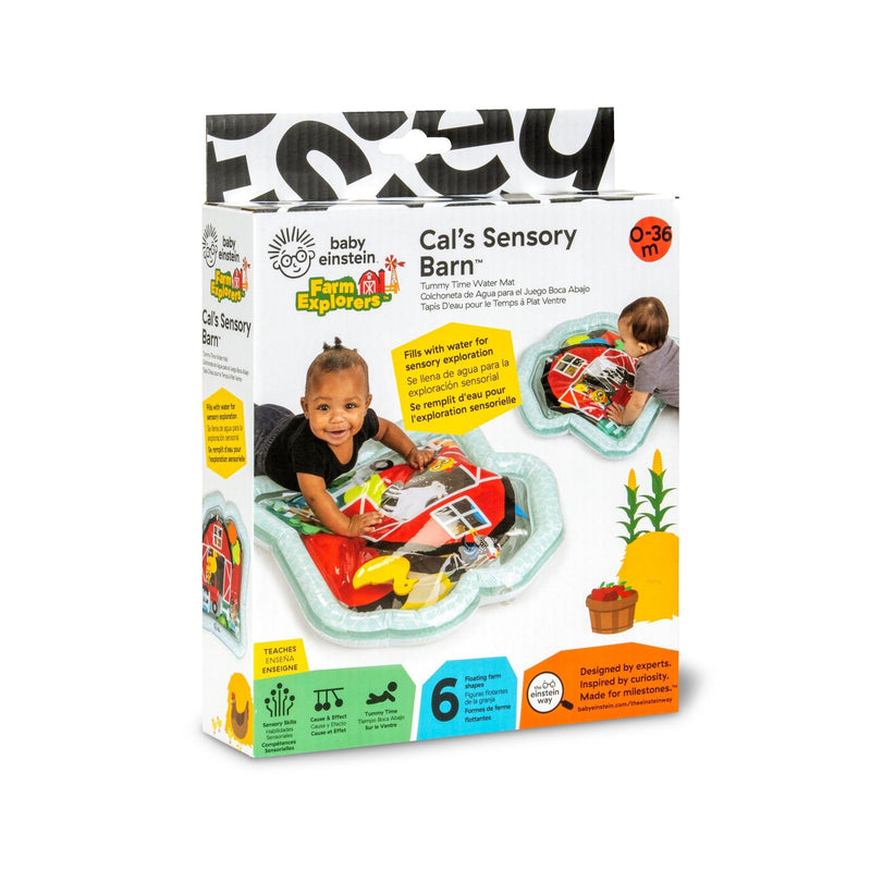 Baby Einstein Cal's Sensory Barn Tummy Time Water Mat Y7