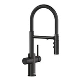 Blanco Catris Flexo Filter-Ready Semi-Pro Pull-Down Dual-Spray Kitchen Faucet, Matte Black