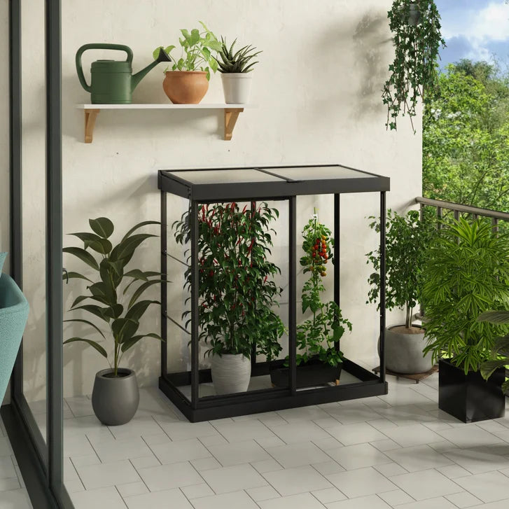 Canopia by Palram Ivy 4 ft. x 2 ft. Mini Greenhouse Kit G3