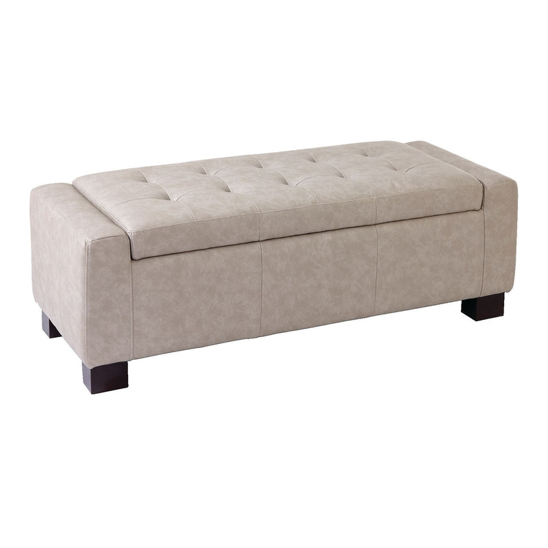 CANVAS Louisa Upholstered Hinge-Top Storage Ottoman/Bench With Padded Seat, Light Grey N4