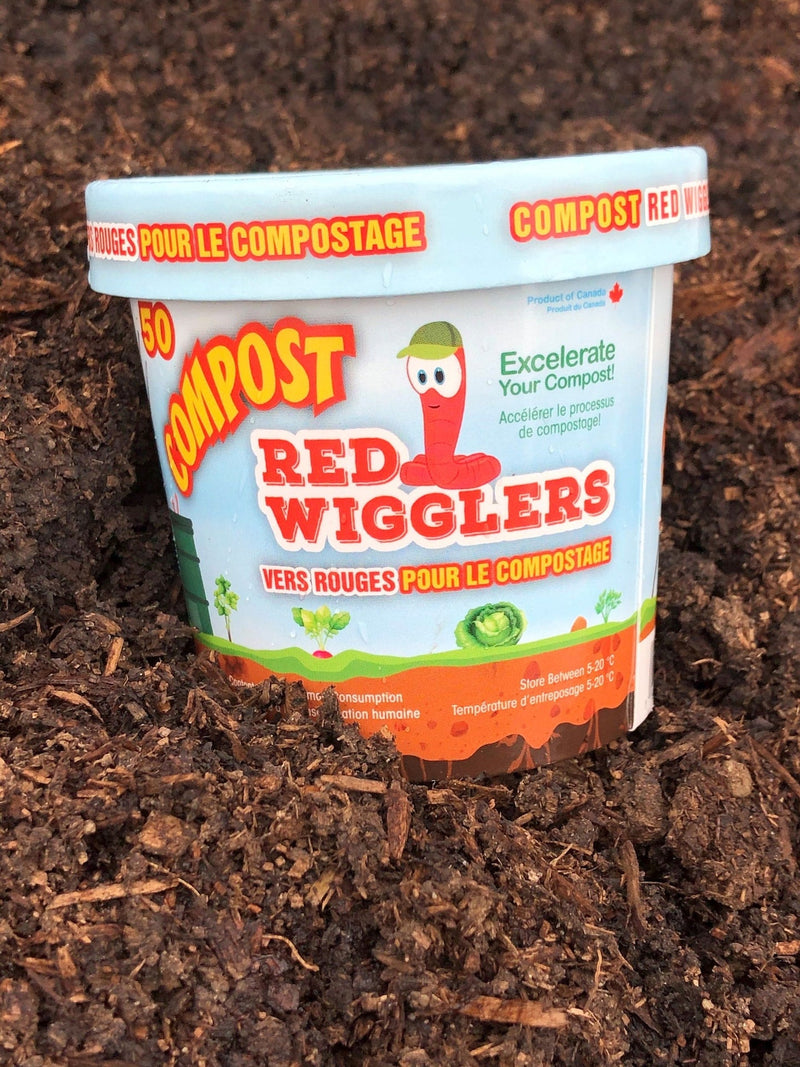 Compost Red Wiggler Live Composting Worms, 50 Count P0