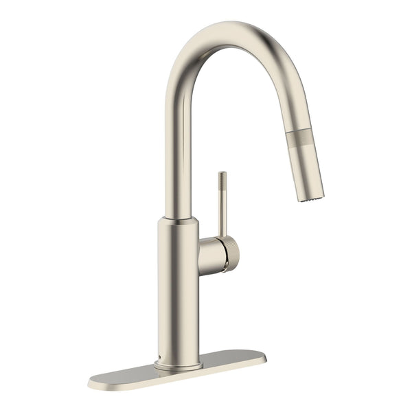 Danze Colby 1-Handle Pull-Down Kitchen Faucet with Knurled Accents, Stainless Steel F3