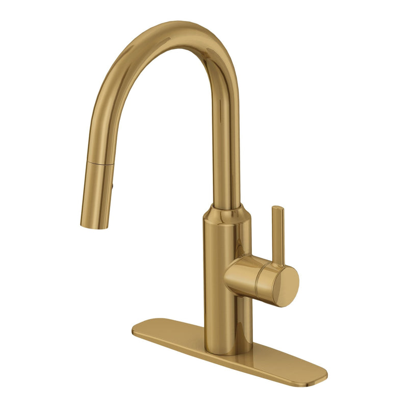 Danze Colby Single-Handle Pull-Down Kitchen Faucet, Brushed Bronze V0