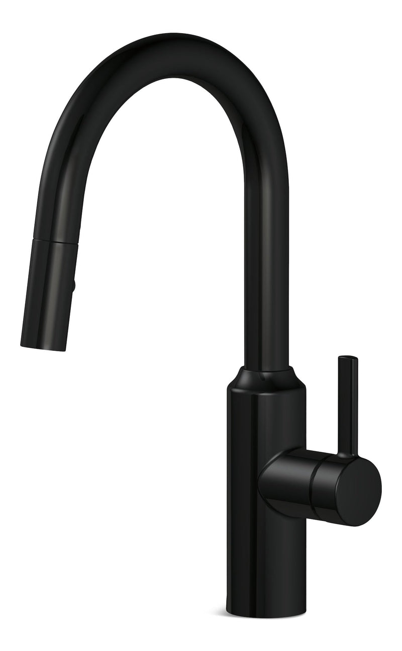 Danze Colby Single Handle Pull Down Kitchen Faucet, Matte Black D0