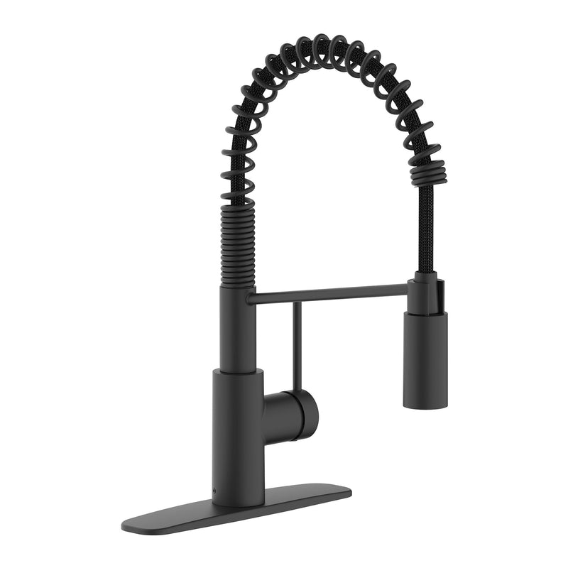 Danze Imi 1-Handle Pull-Down Commercial Style Kitchen Faucet O9