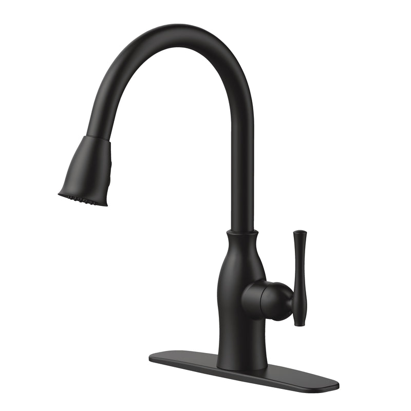 Danze Lisa 1-Handle Pull-Down Kitchen Faucet, Matte Black G8