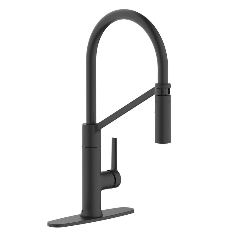 Danze Tana 1-Handle Pull-Down Kitchen Faucet D8