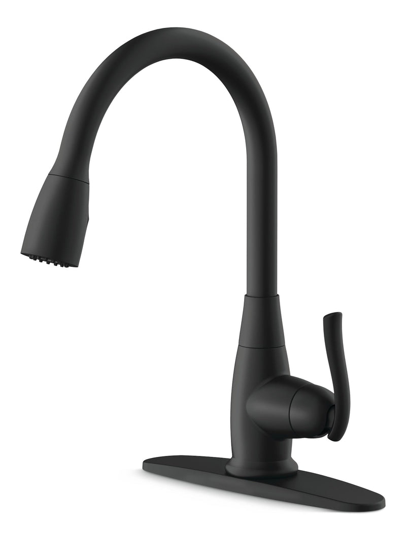 Danze Terrazo 1-Handle Pull Down Kitchen Faucet, Matte Black V1