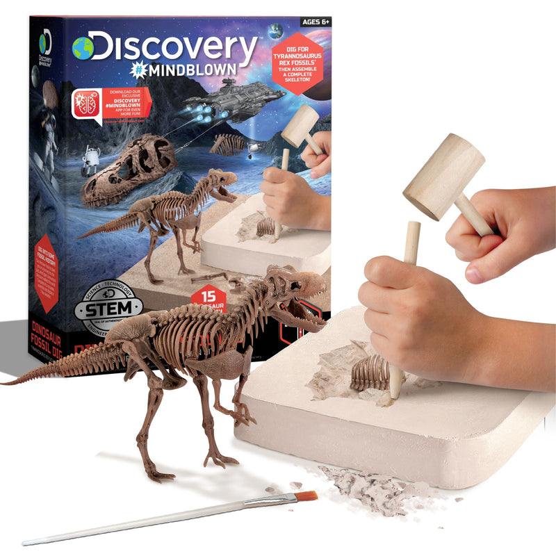 Discovery Dinosaur Skeleton T-Rex 3D Puzzle Excavation Kit/Educational Toy for Ages 6+ P3