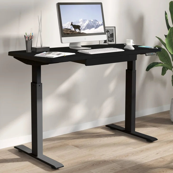 Motionwise 121.9 cm x 61 cm (48 in. x 24 in.) Height Adjustable Desk C6