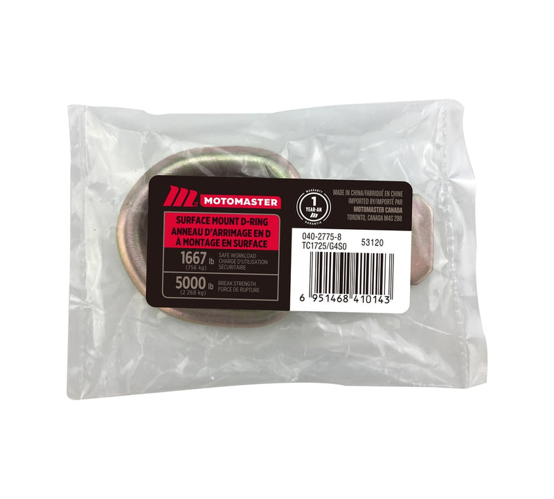 MotoMaster 5,000-lb Medium Duty D-Ring, Surface Mountable D2