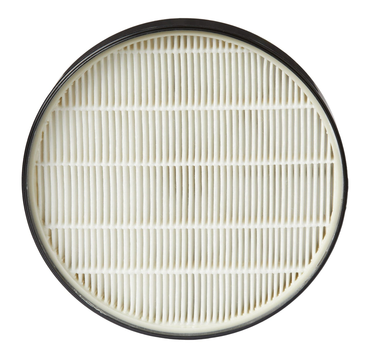 NOMA SurfaceElite Bagless Canister Replacement Filter, 2-pk