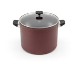 PADERNO Classic Non-Stick Stock Pot, 10-qt