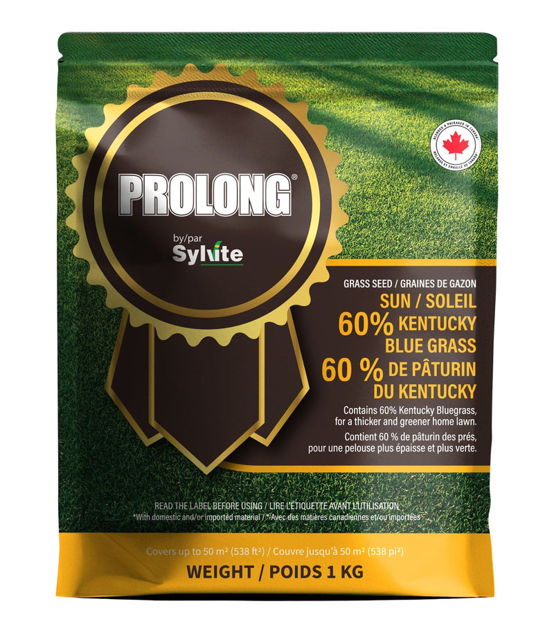 PROLONG Sun Kentucky Blue Grass Seed, All-Season, 1kg Z8