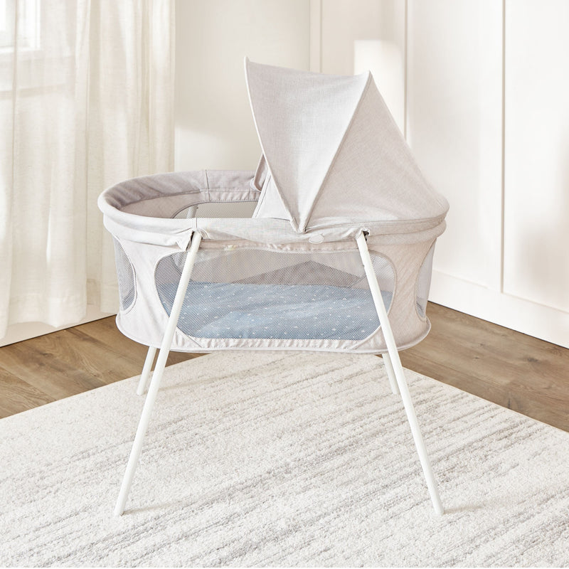 Regalo Baby Basics Infant Bassinet with Canopy, Grey V4