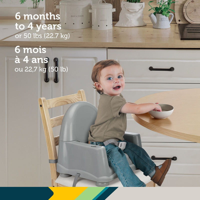Safety 1st Easy Care Steel Fog Feeding Booster with Swing Tray G9