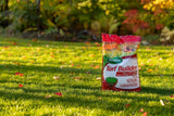 Scotts Turf Builder Fall Lawn Fertilizer, 5.25-kg