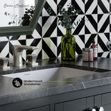 Swiss Madison Plaisir 18.5 Rectangular Under-Mount Bathroom Sink