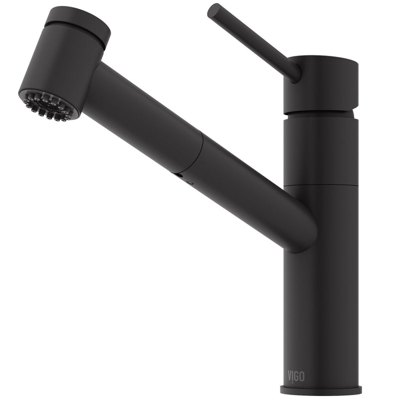 VIGO Branson 9-in Kitchen Faucet, Various Finishes L4