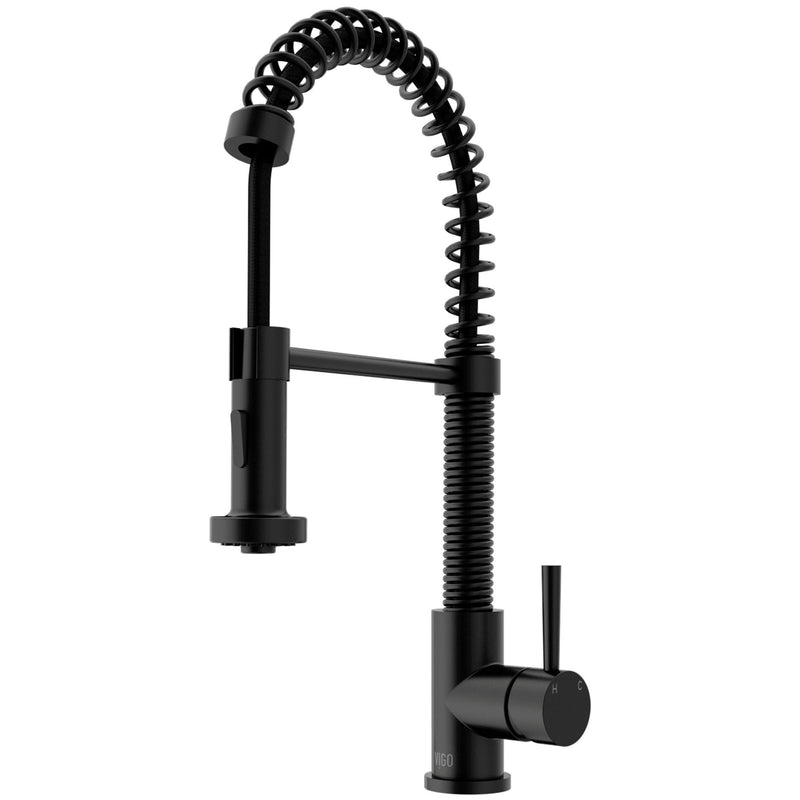 VIGO Edison Pull-Down Spray Kitchen Faucet, Matte Black B9