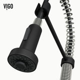 VIGO Edison Single Handle Pull Down Kitchen Faucet, Stainless Steel/Matte Black