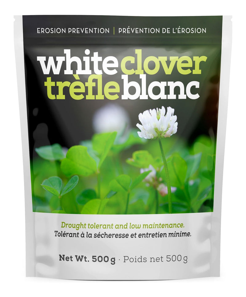 White Clover Erosion Control Grass Seed 500g U4